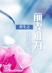重生前妻不好追忆静