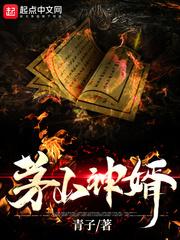 茅山神婿叶少阳