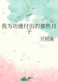 我为功德付出的那些日子在线阅读