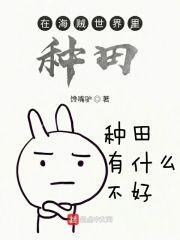 在海贼世界里种田的
