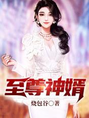 叶昊郑漫儿免费全文至尊神婿
