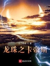 龙珠z之卡卡洛特