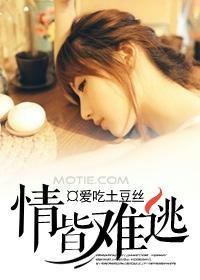 情皆难逃全文免费阅读