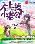 天上掉下个小公主
