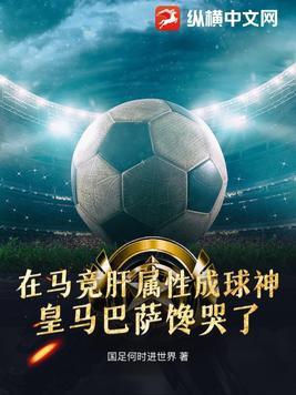 西甲足球是什么牌子