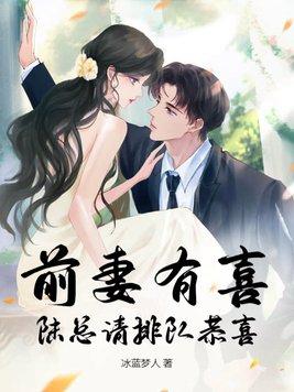前妻归来陆总