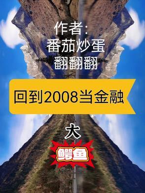 回到2008年什么挣钱
