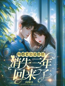 闪婚老公是老板