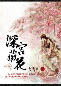 深宫曲藏书阁