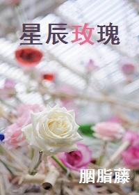 星辰花的花语和传说