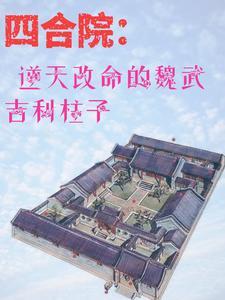 四合院开局抢了娄晓娥进小世界飞卢