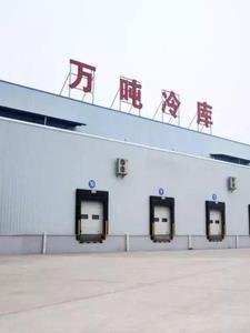四合院开局娶了于莉