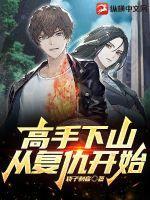 高手下山走上人生巅峰免费观看