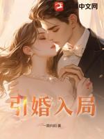 引婚入局讲的是什么