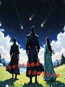 帕瓦实力