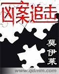 追凶31年案件综述