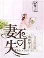 妻不可失失不在来