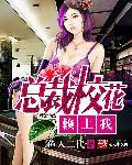 总裁校花赖上我扫书