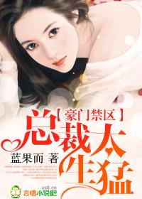 豪门游戏天价少奶奶txt