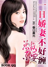 腹黑总裁的逃妻 千夜墨