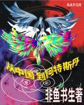 阿姆斯特丹到中国海运