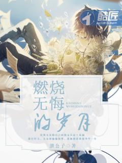 燃烧岁月 歌词