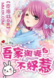 吾家妻宝全文免费