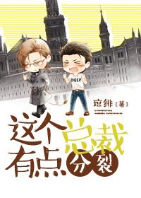 这个总裁有点凶