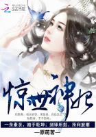 惊世神凰免费阅读全文笔趣
