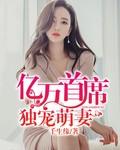 亿万首席宠妻成瘾全文免费阅读