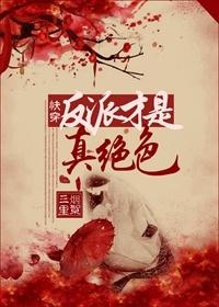 快穿之反派才是真绝色全文免费阅读