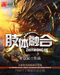什么是肢体冲突?
