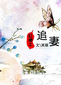 红楼之宠妃全文免费阅读