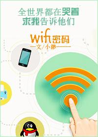 你说有wifi