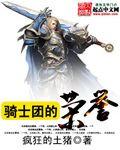 著名骑士团