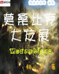 莫桑比克国家现状