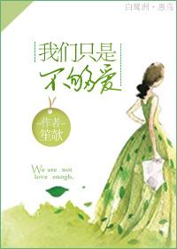 只是不够爱歌词的意思