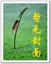 宠魅免费阅读