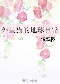 外星猫地球虎