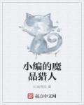 魔晶猎人简介
