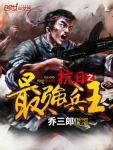 抗日之最强兵王苏阳阅读