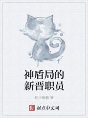 神盾局前身