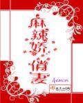 麻辣俏佳妻