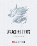 武道图书馆境界划分
