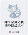 神奇宝贝之父免费阅读