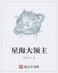 星海领主主角几个老婆