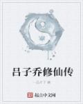 吕子乔的电视剧