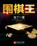 围棋王冠军