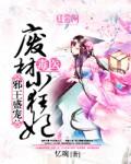 邪王盛宠神医毒妃