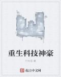 重生科技狂人顶点